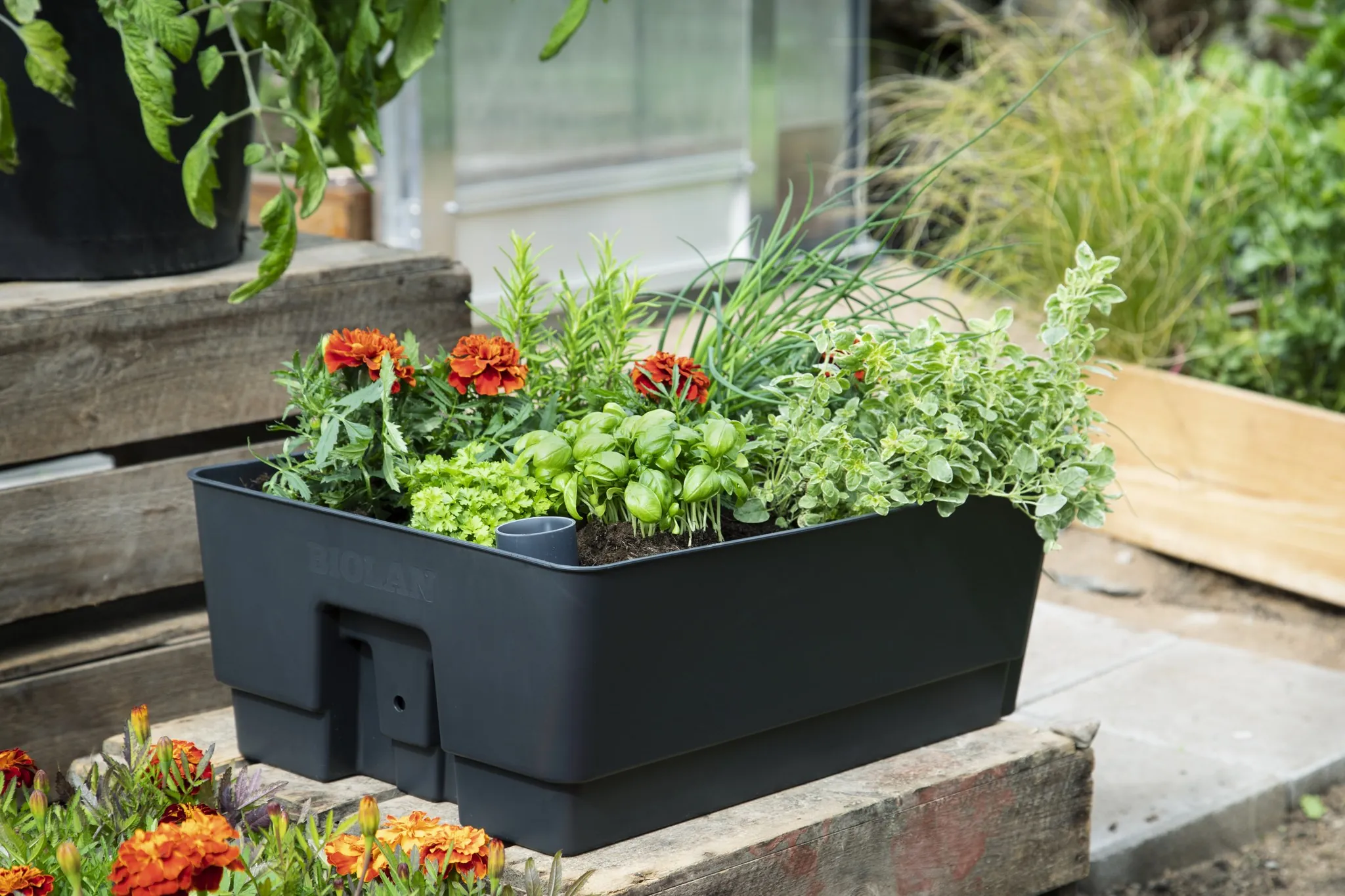Biolan Planter mit Bewässerungsboden