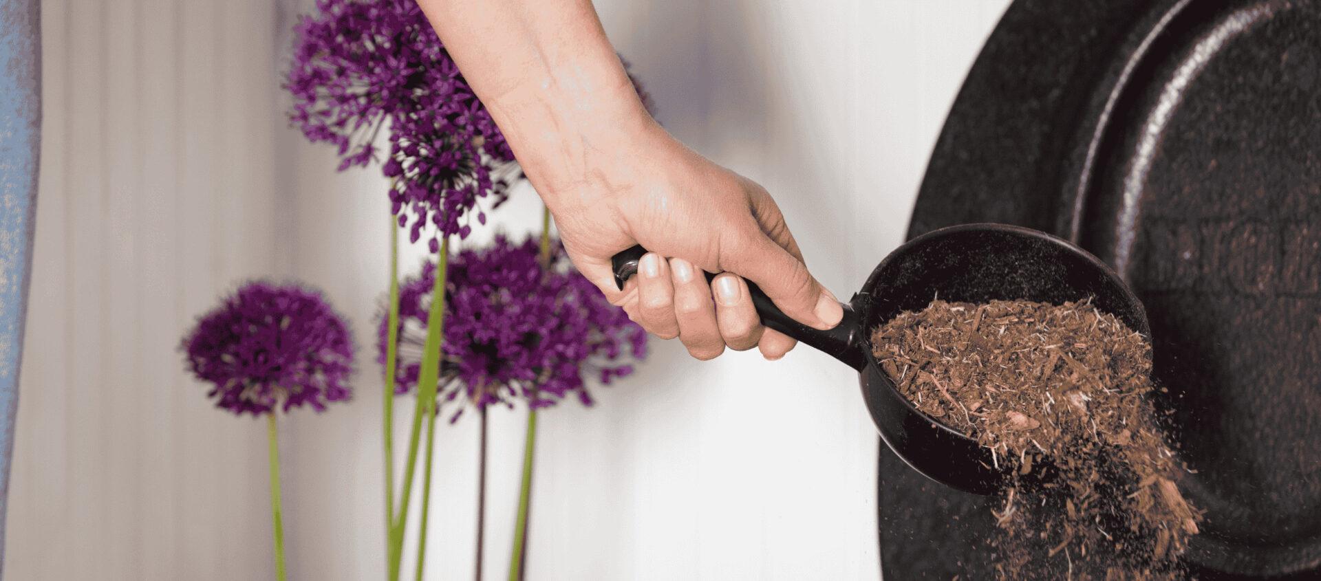 Biolan Trockentoiletten Einstreu